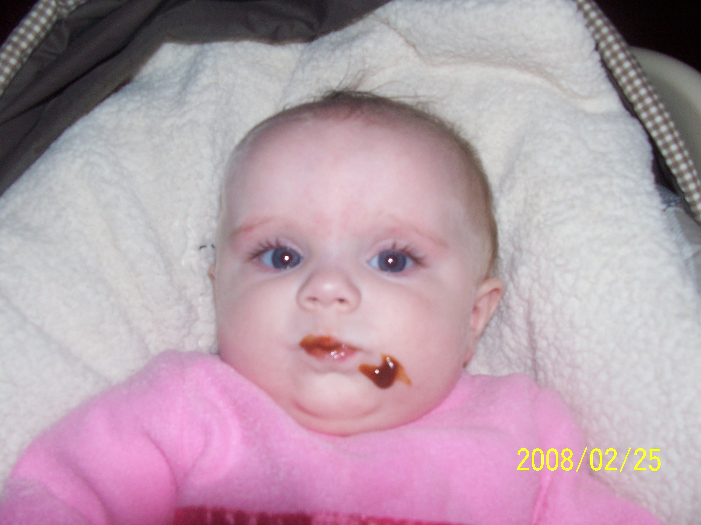 feb2008041.jpg