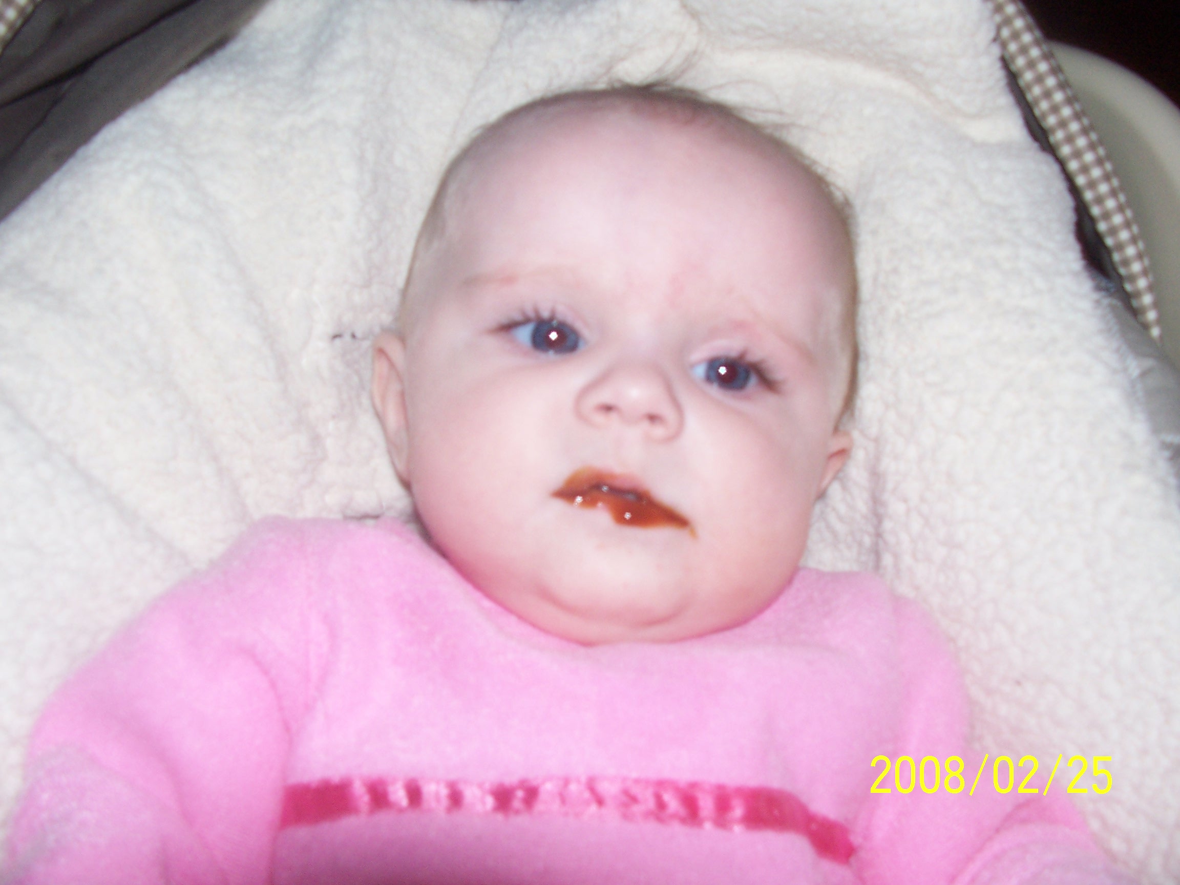 feb2008042.jpg